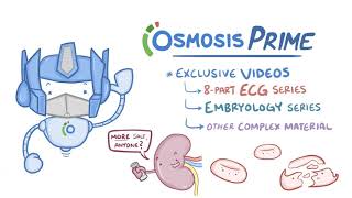 Try Osmosis Prime for Free [upl. by Anihta493]