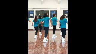 ECHAME LA CULPA Remix  LINE DANCE youtubeshorts [upl. by Naomi]