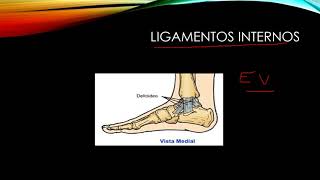 Como palpar los ligamentos del tobillo [upl. by Khudari29]