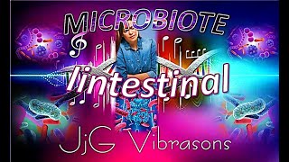 LE MICROBIOTE INTESTINAL ET TA BONNE DIGESTION [upl. by Herrera]