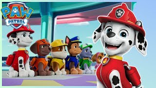 PAW Patrol  Season 11  The New Lookout Sequence [upl. by Filide425]