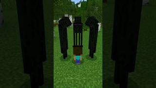 Poi Poi Poi cute enderman mincraft cute gaming edit [upl. by Acenahs]