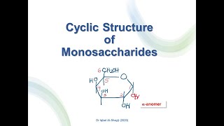 2 Cyclic Structure of Monosaccharides [upl. by Akedijn]