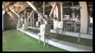 Flour production process [upl. by Arral]