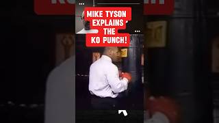 Mike Tyson Knock Out Punch boxing miketyson training [upl. by Llennaj150]