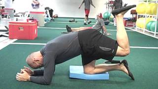 Quadruped Hip Extension on Elbows [upl. by Iredale614]