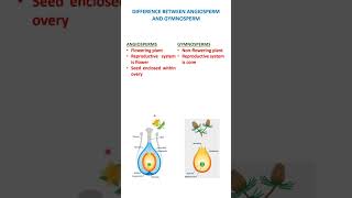 angiosperm and gymnosperm biology ncert [upl. by Shyamal]