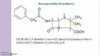 Drawing of Penicillin Structure  Benzylpenicillin Phenoxymethylpenicillin [upl. by Baram7]