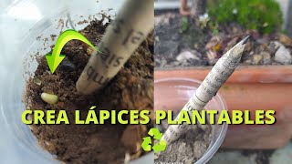 quotCrea Lápices Plantables con Papel de Periódico DIY Reciclajequot [upl. by Lucchesi487]