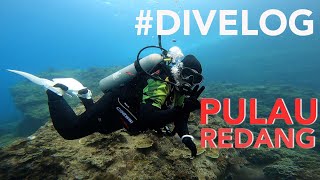 DIVELOG Pulau Redang  Coral Redang Island Resort  Scuba Diving trip 2022 [upl. by Onit]