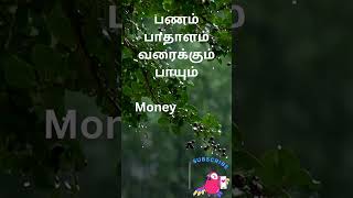 3 Proverbs in English and Tamil  Spoken English in Tamil spokenenglishintamil shorts [upl. by Nosrettap]