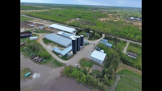 Goed ingericht melkveebedrijf in Grunthal Manitoba [upl. by Moselle]