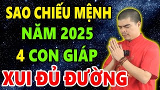 Xem Sao Hạn Chiếu Mệnh Năm 2025 Ất Tỵ 4 Con Giáp Xui Xẻo Đủ Đường Cần biết sớm mà Hóa giải [upl. by Sjoberg]