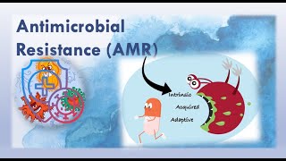 Dr D Antimicrobial Resistance [upl. by Llenahs]