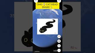 OMG 😱 CAT HEAD SNAKE 🐍😱 [upl. by Croft239]