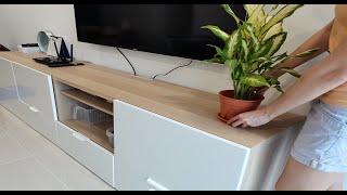 New IKEA TV cabinet BESTA series amp Plant nursery visit [upl. by Ennirroc]