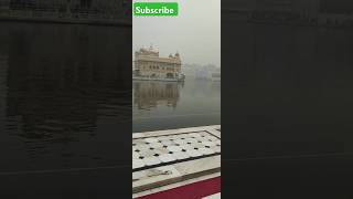 Amritashar Golden Temple Travel Live shortsviral Travel lifestyle youtubeshorts Live Lifestyle [upl. by Ahgiela]