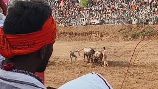 Rudraksh vs bullet Raja bodrali hele ki takkar [upl. by Odradlig]