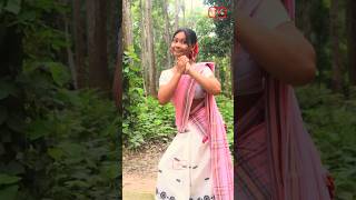 Ane hole nu ke ne hoy Assamese song shrots video [upl. by Kellen]