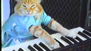 Keyboard Cat Plays Off Mayor Ford [upl. by Omik]