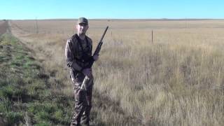 Montana Sharptail Hunting  Josh Dahlke [upl. by Tower506]