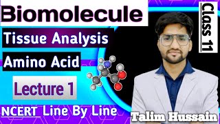 Biomolecule ❤️ Lecture 1  Class 11  NEET 2025  Talim Hussain [upl. by Wilder852]