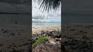 noosa noosaheads beach beautiful summervibes everyone livelifefullest shorts myleentv [upl. by Asiaj]