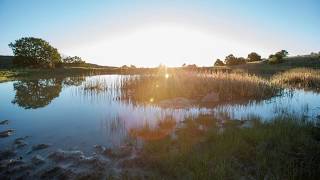 Philmont Timelapse 2017 [upl. by Ahiel]