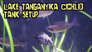 Lake Tanganyika Cichlid Tank Setup [upl. by Robbi]