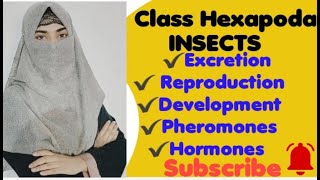 Class Hexapoda  ExcretionChemical RegulationHormonesPheromonesReproduction Development [upl. by Hightower205]