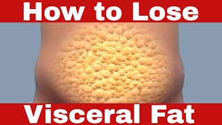 How to Lose Visceral Fat The SCIENCEBacked Visceral Fat MELTDOWN [upl. by Gnoh924]