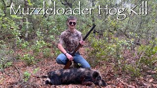 2024 Muzzleloader Hog Kill Traditional 50 Cal Blackpowder [upl. by Alyaj]