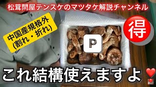 ☆業務用中国産マツタケ。一番安くコストを下げるのはこれ規格外 Pの実物説明【松茸解説一発撮りシリーズ】 [upl. by Edmondo168]