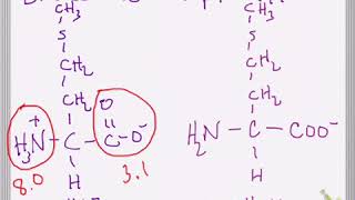 Effect of pH and pKa on Amino Acid Structure [upl. by Ailhat559]