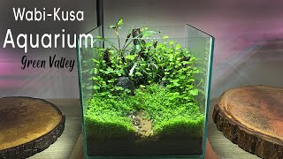 WabiKusa Aquarium  Green Valley  Relaxing Maintenance [upl. by Strauss]