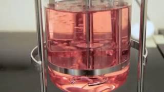 The Impact of Sparging on Cell Culture in Bioreactors – Two Minute Tuesday Video [upl. by Yecram]