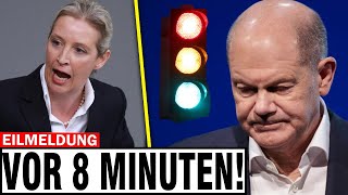 LIVE Alice Weidel besiegt Olaf Scholz🚨Afd ist bereit nachdem die Ampel ausgeht [upl. by Mali]