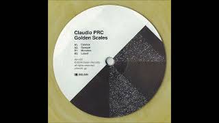 Claudio PRC  Celotex DSRC22 [upl. by Haerdna]