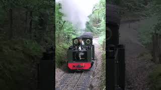 Great Western Railway No 7 in the Woods  Vale of Rheidol Railway Festival of Steam 2024 railway [upl. by Aicenek]