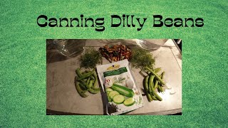 How to Can Dilly Beans [upl. by Anatola]