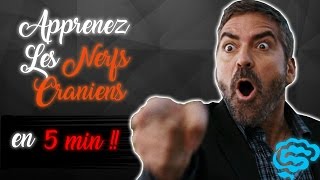 🔴 NE CONFONDEZ PLUS LES NERFS CRANIENS  part2  DR ASTUCE [upl. by Drannek362]