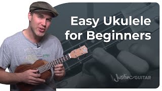 How to Play the Ukulele 4 Easy Chords amp Many Songs [upl. by Apeed48]