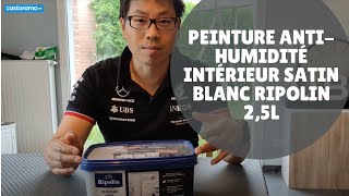 Avis consommateur Peinture antihumidité intérieur satin blanc Ripolin 25L [upl. by Munafo256]