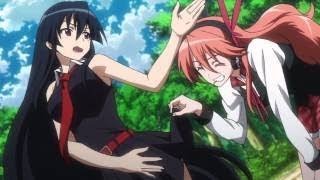 Akame Ga Kill 「AMV」 Tatsumi And Lubbock VS Shura And Budou  HD [upl. by Marilou]