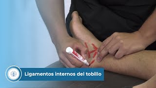 Ligamentos internos del tobillo [upl. by Mosora361]