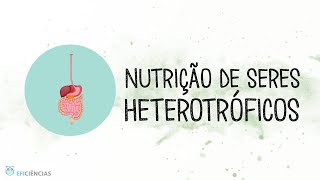 Nutrição dos seres heterotróficos  Biologia e Geologia 10ºano [upl. by Esila]