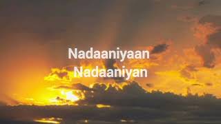 Nadaaniyaan LyricsAkshath Song youtube viral song [upl. by Pepito]