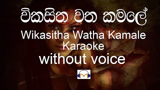 Wikasitha Watha Kamale Karaoke without voice විකසිත වත කමලේ  Sinhala Music Tracks [upl. by Iluj317]