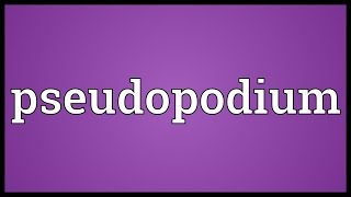 Pseudopodium Meaning [upl. by Fogg323]