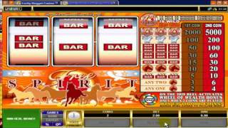 Download Lucky Nugget Casino For Free [upl. by Dadirac485]